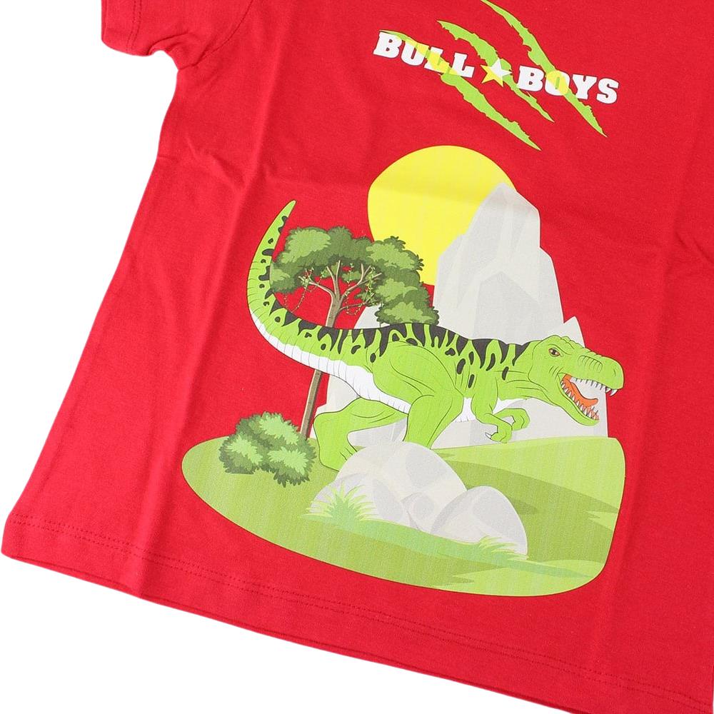 Bull Boys DNYA2391 Dinosaur Red Navy T-Shirt